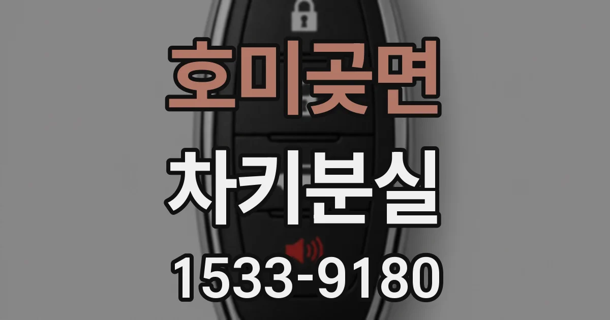 호미곶면 차키분실