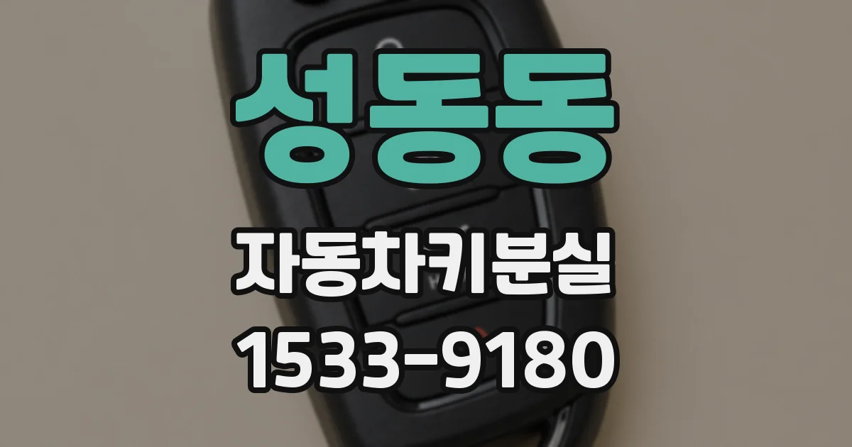 성동동 자동차키분실
