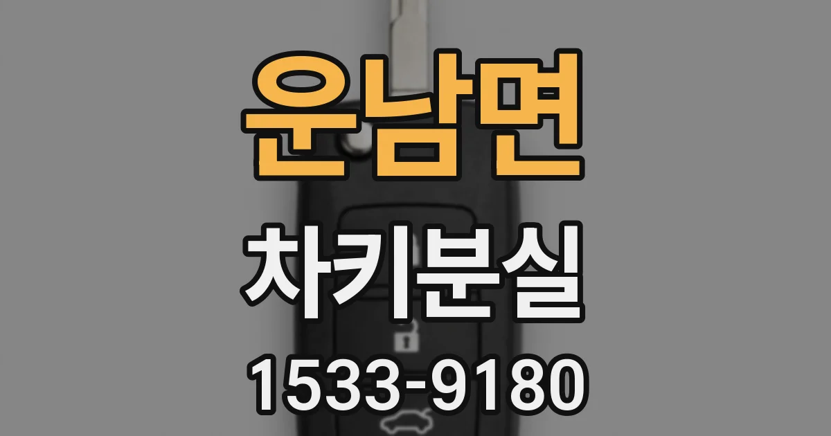 운남면 차키분실