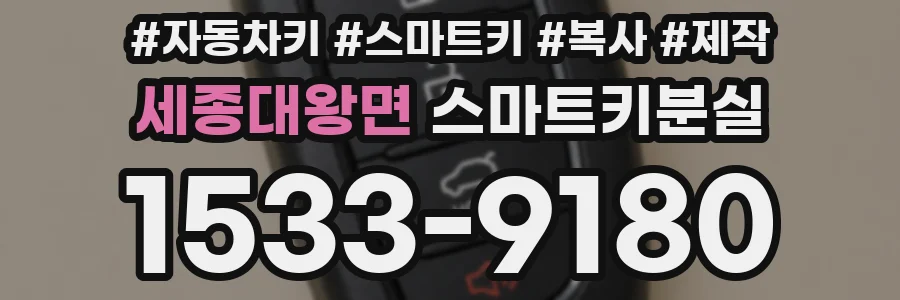세종대왕면 스마트키분실