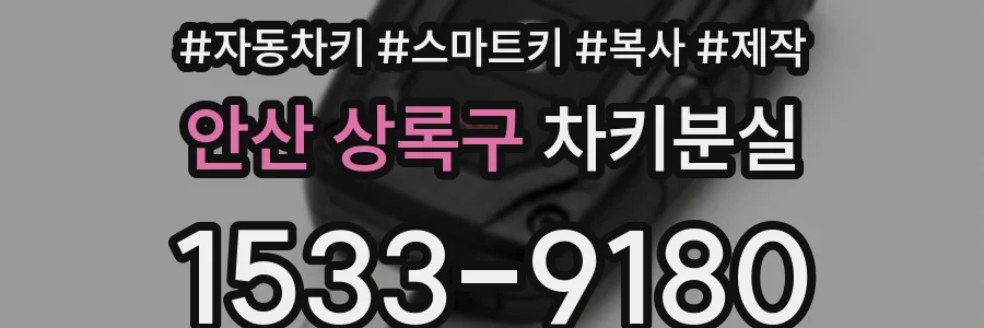안산 상록구 차키분실