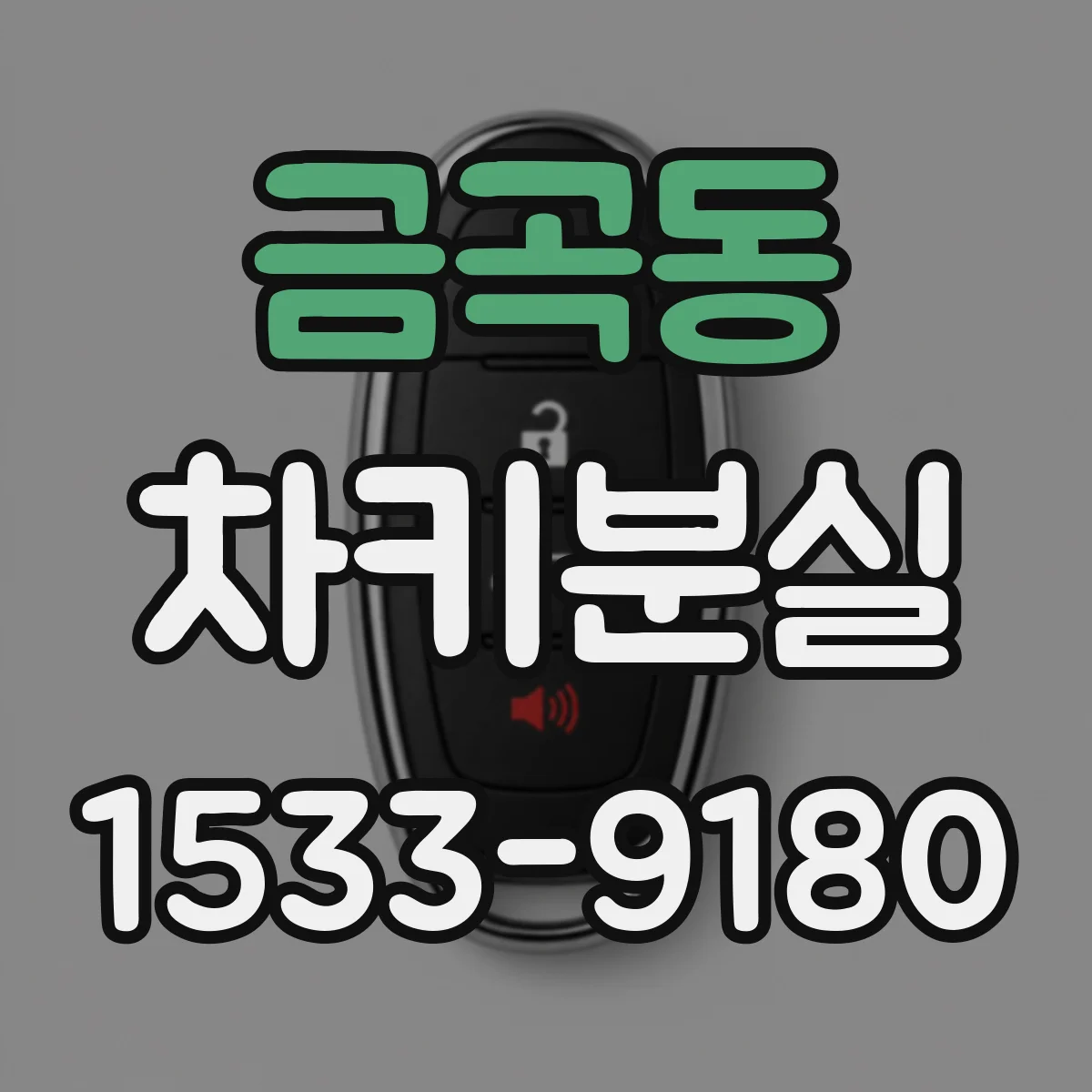 금곡동 차키분실