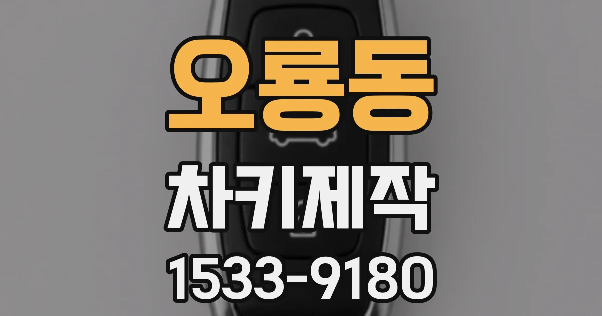 오룡동 차키제작
