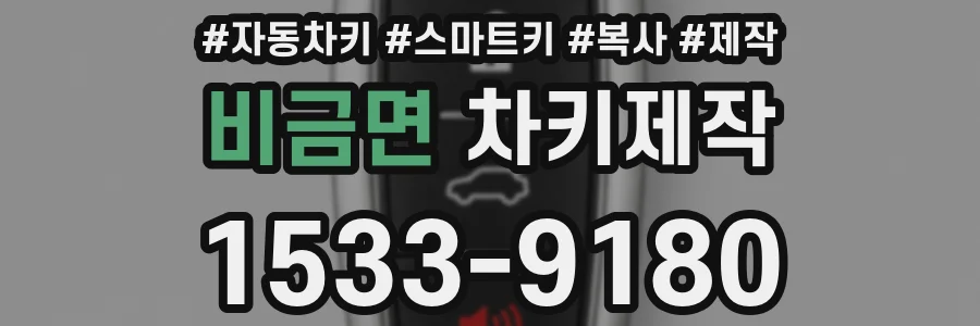 비금면 차키제작