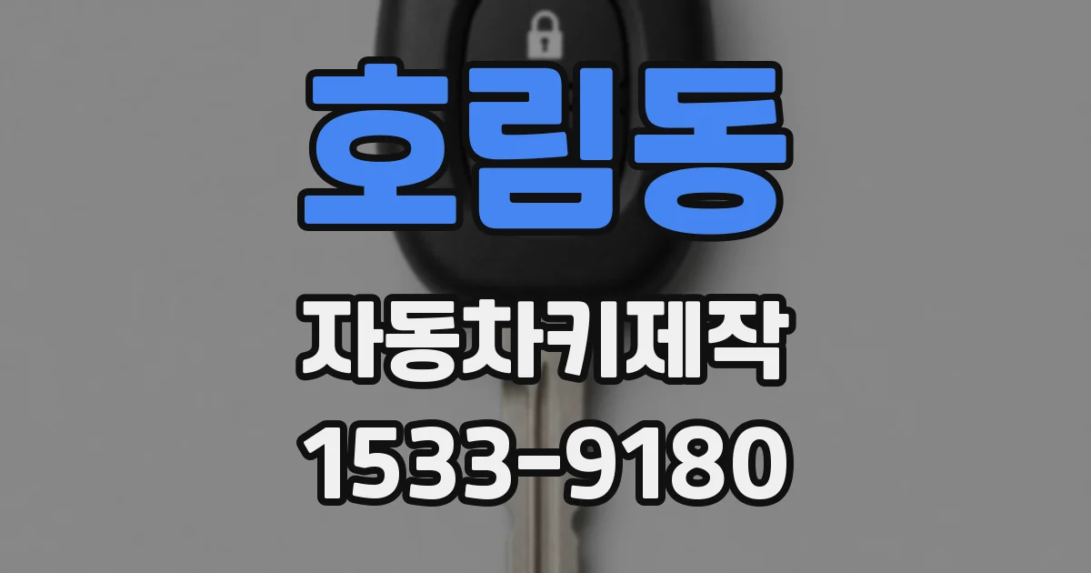 호림동 자동차키제작