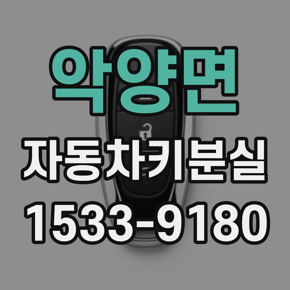 악양면 자동차키분실