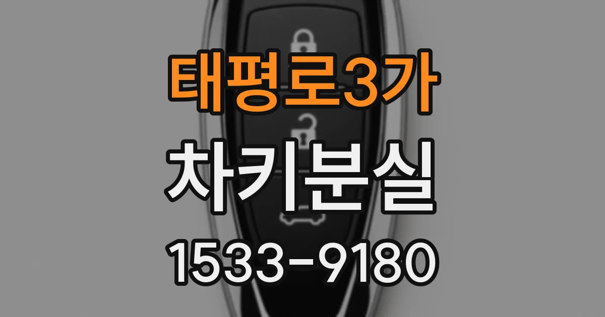 태평로3가 차키분실