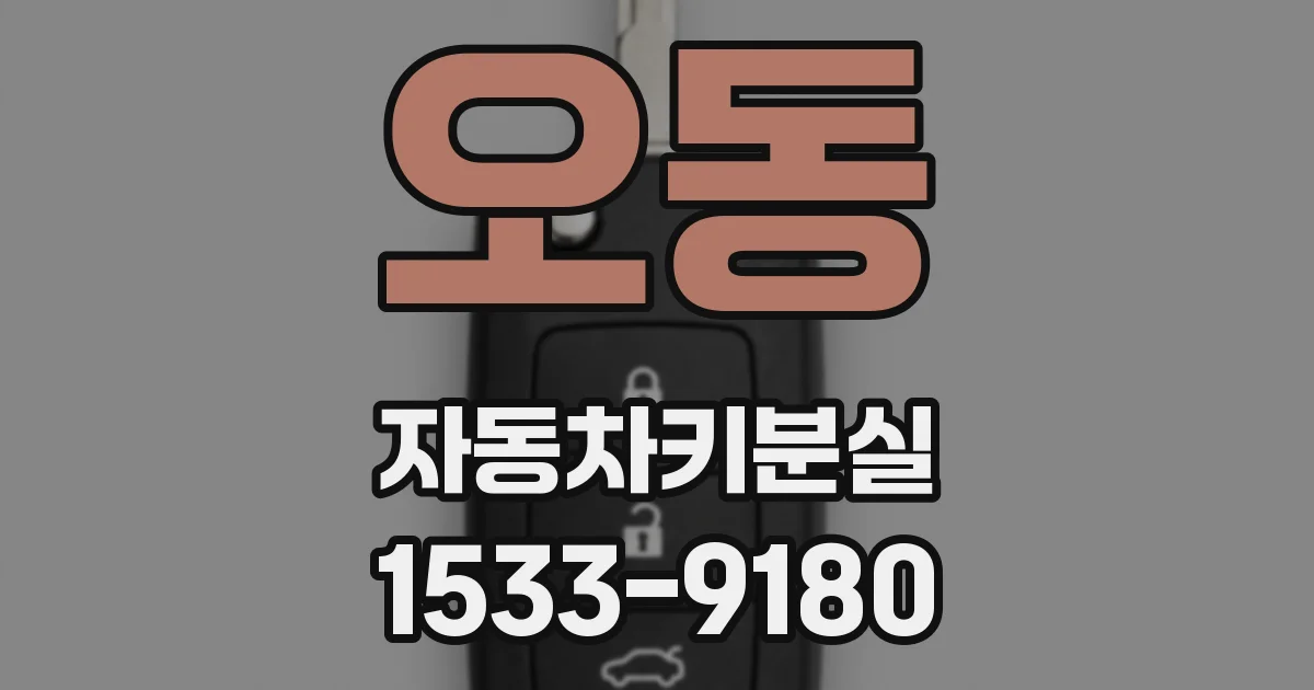 오동 자동차키분실