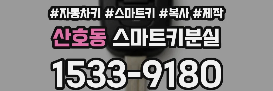 산호동 스마트키분실