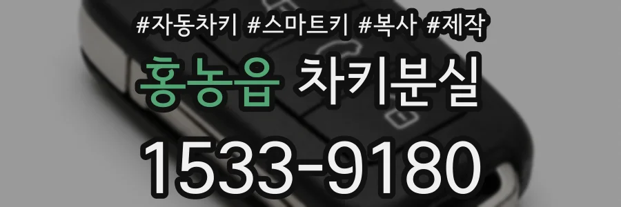 홍농읍 차키분실