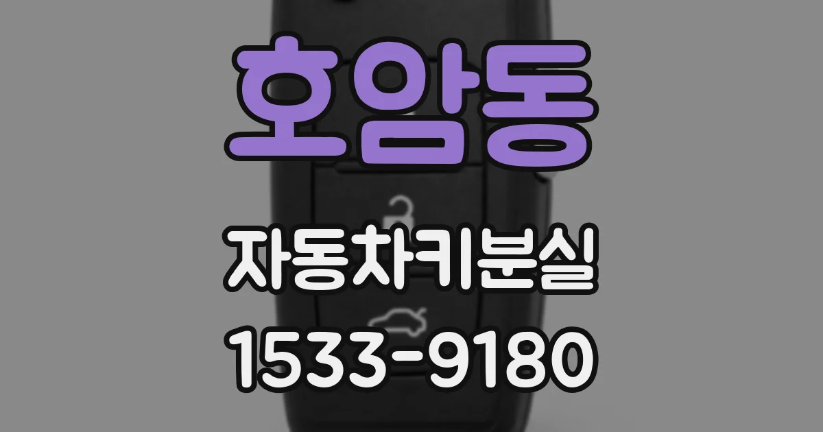 호암동 자동차키분실