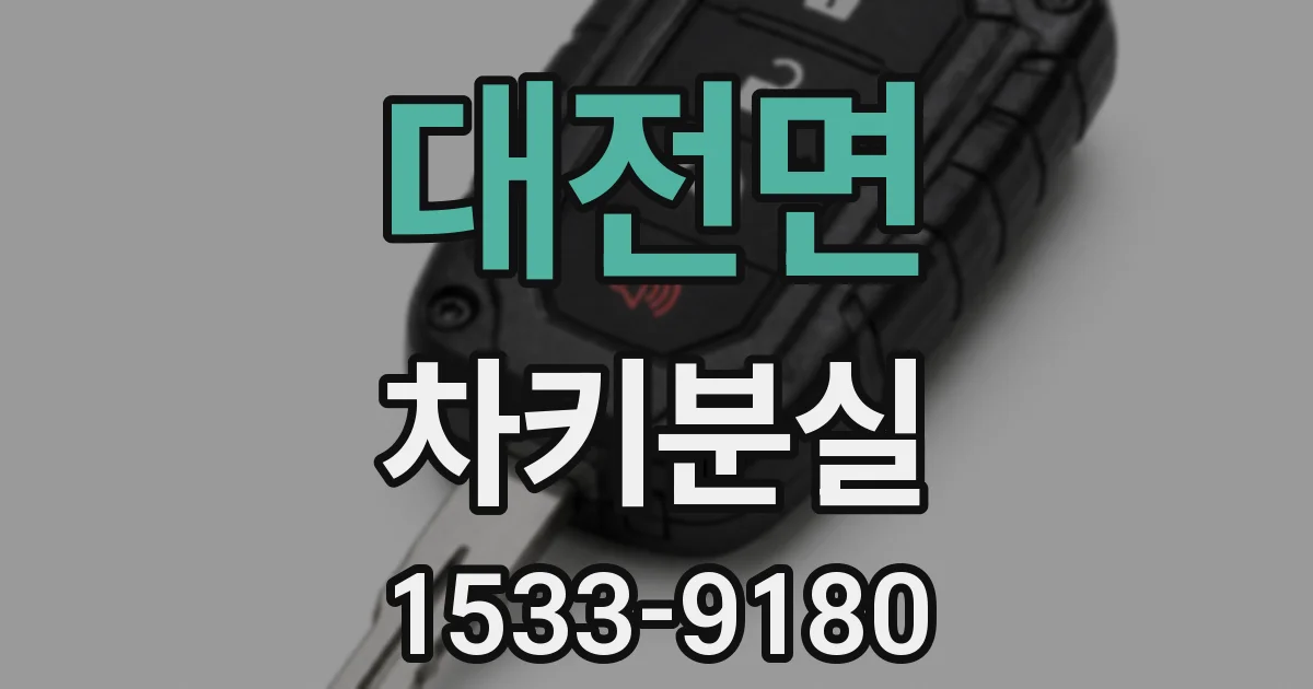 대전면 차키분실