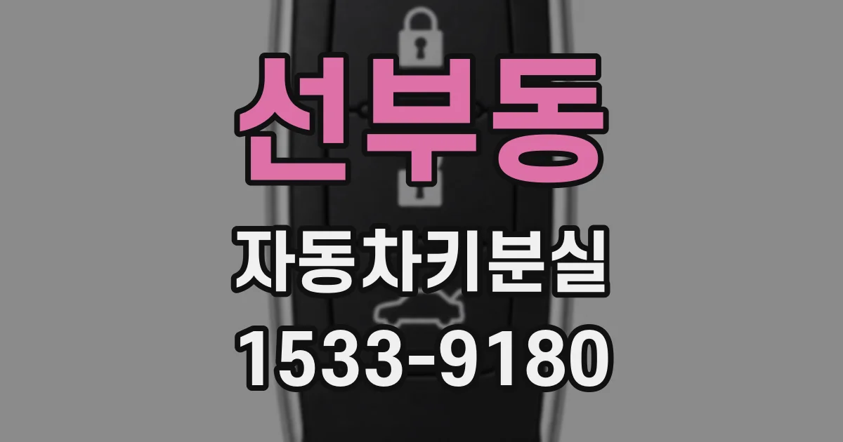 선부동 자동차키분실