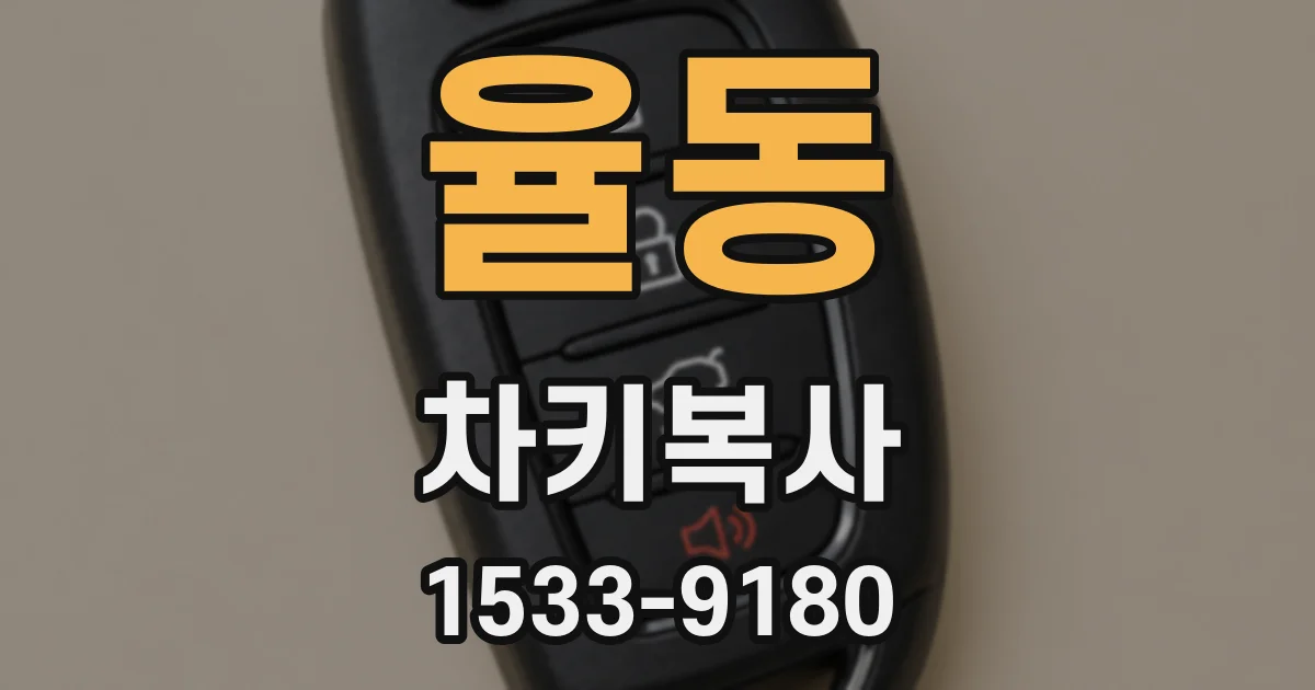 율동 차키복사