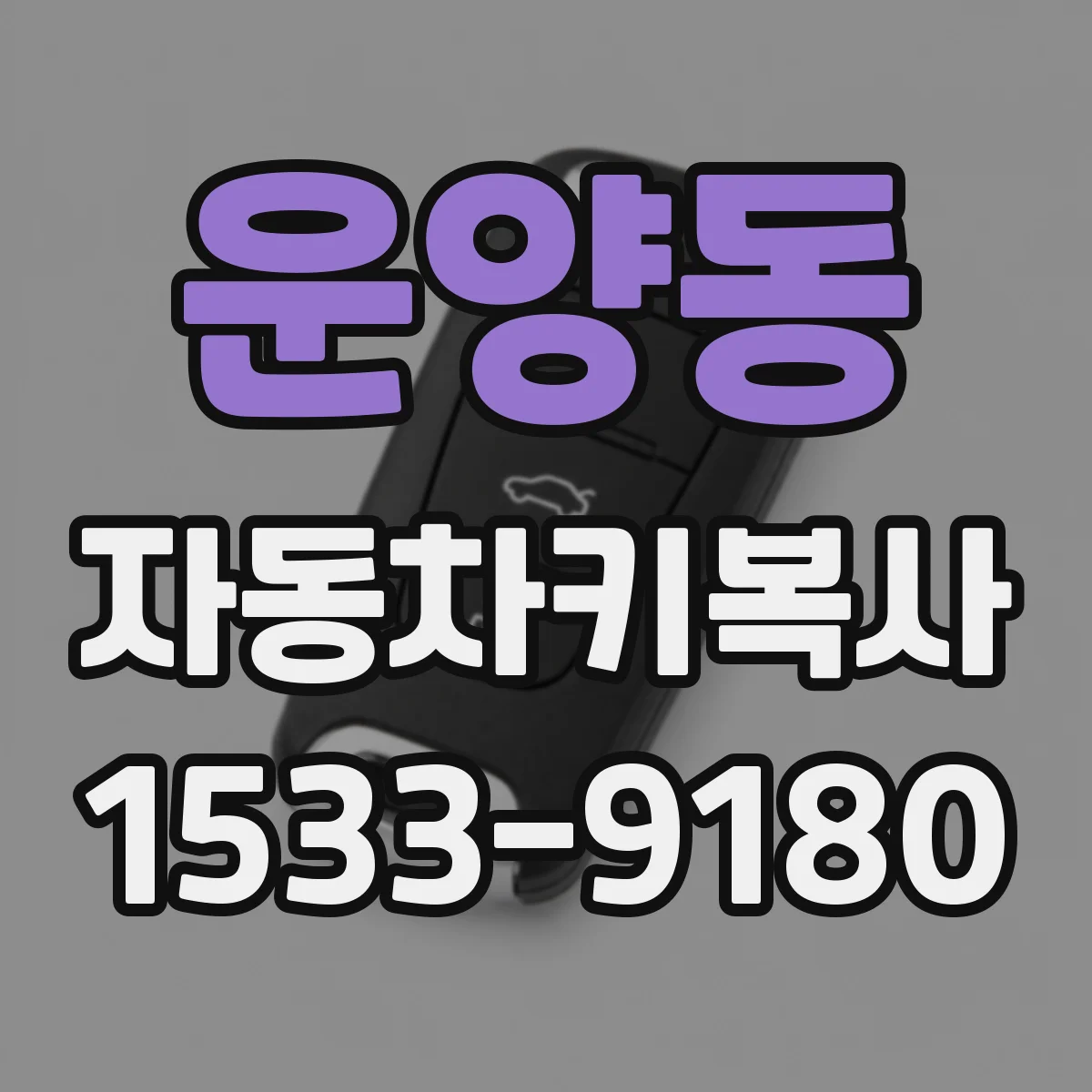 운양동 자동차키복사