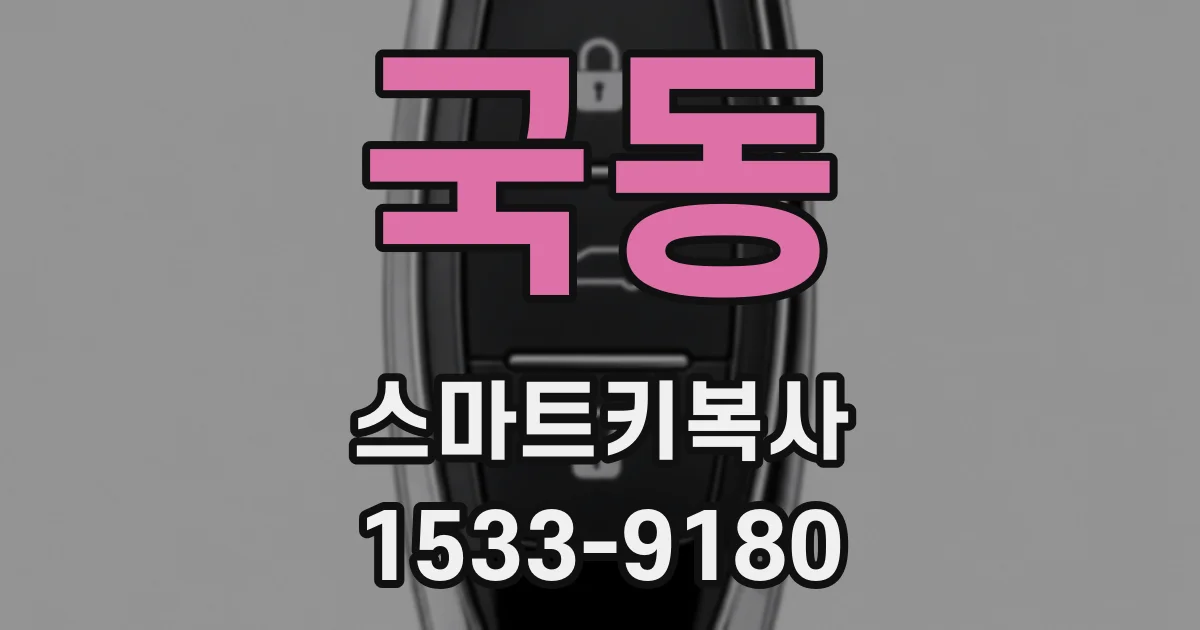 국동 스마트키복사