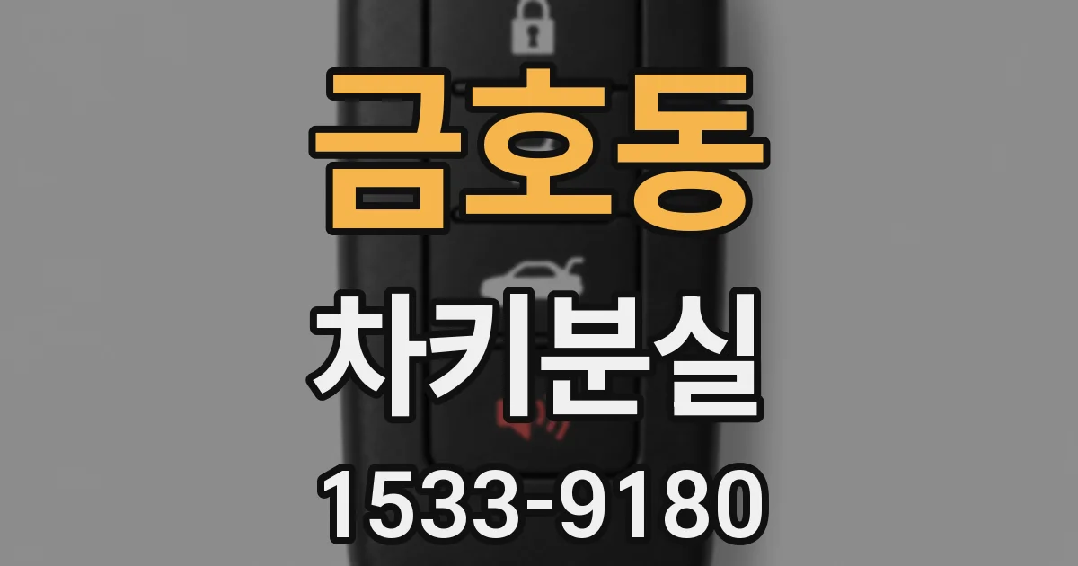 금호동 차키분실
