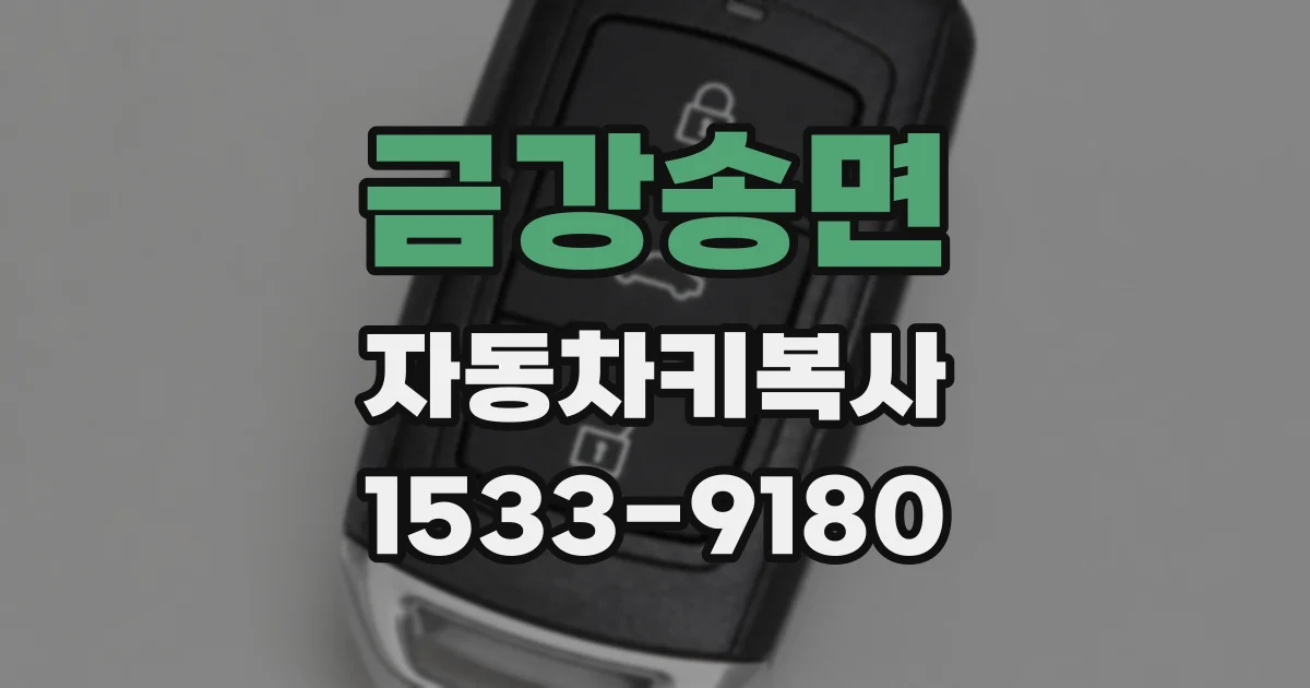 금강송면 자동차키복사