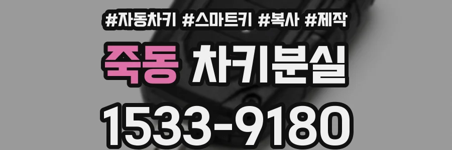 죽동 차키분실