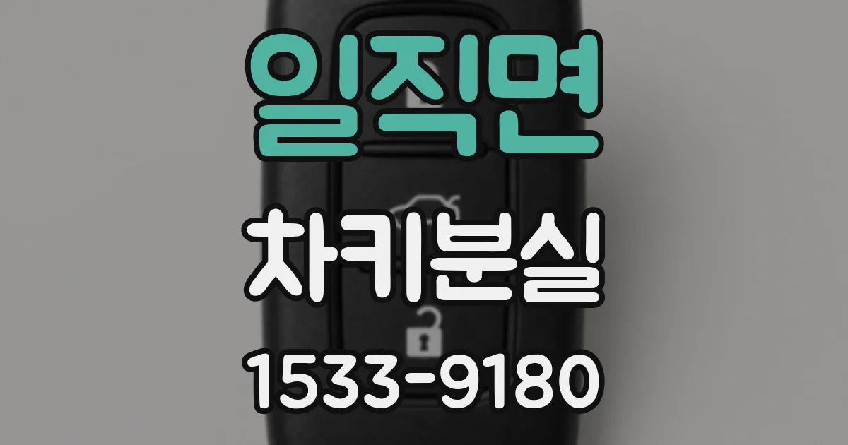 일직면 차키분실