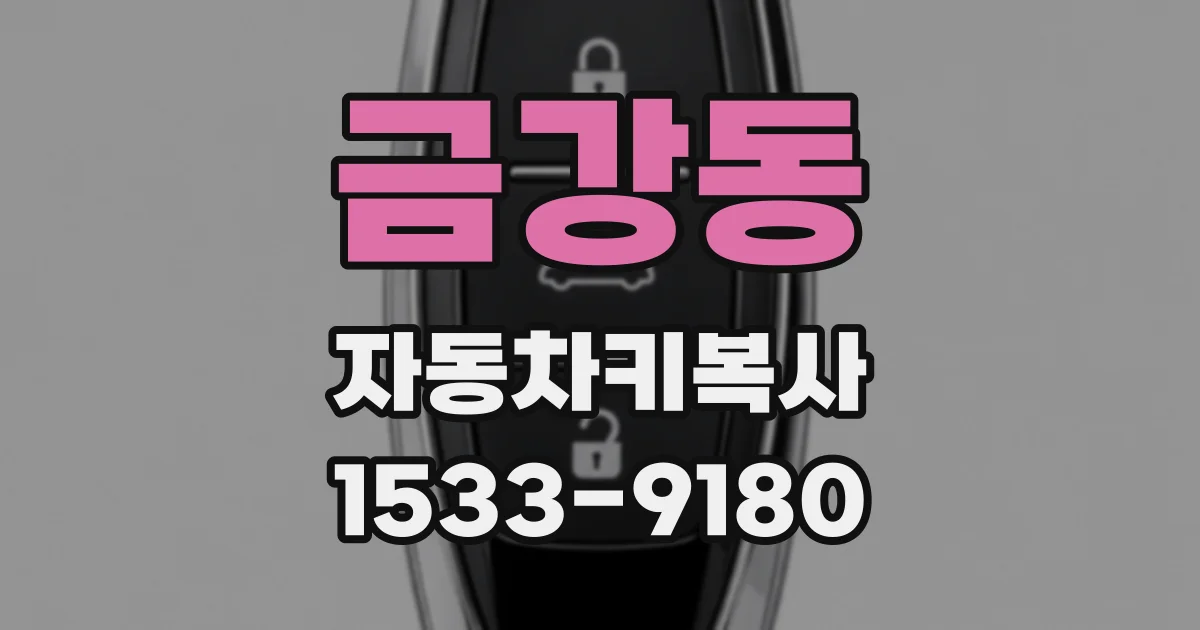 금강동 자동차키복사