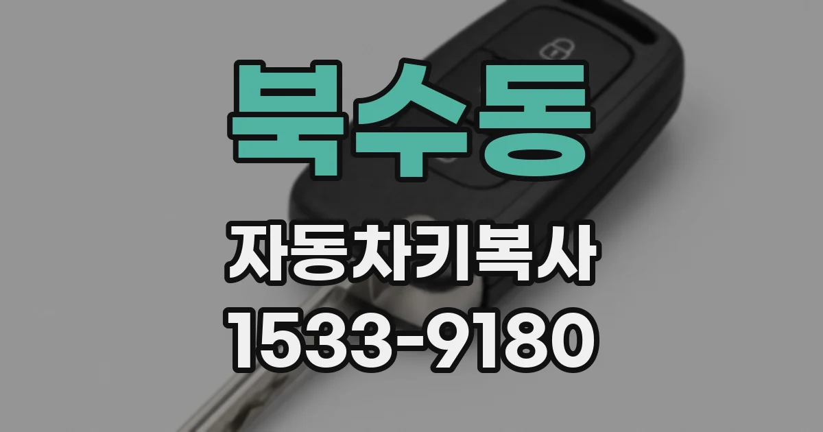 북수동 자동차키복사