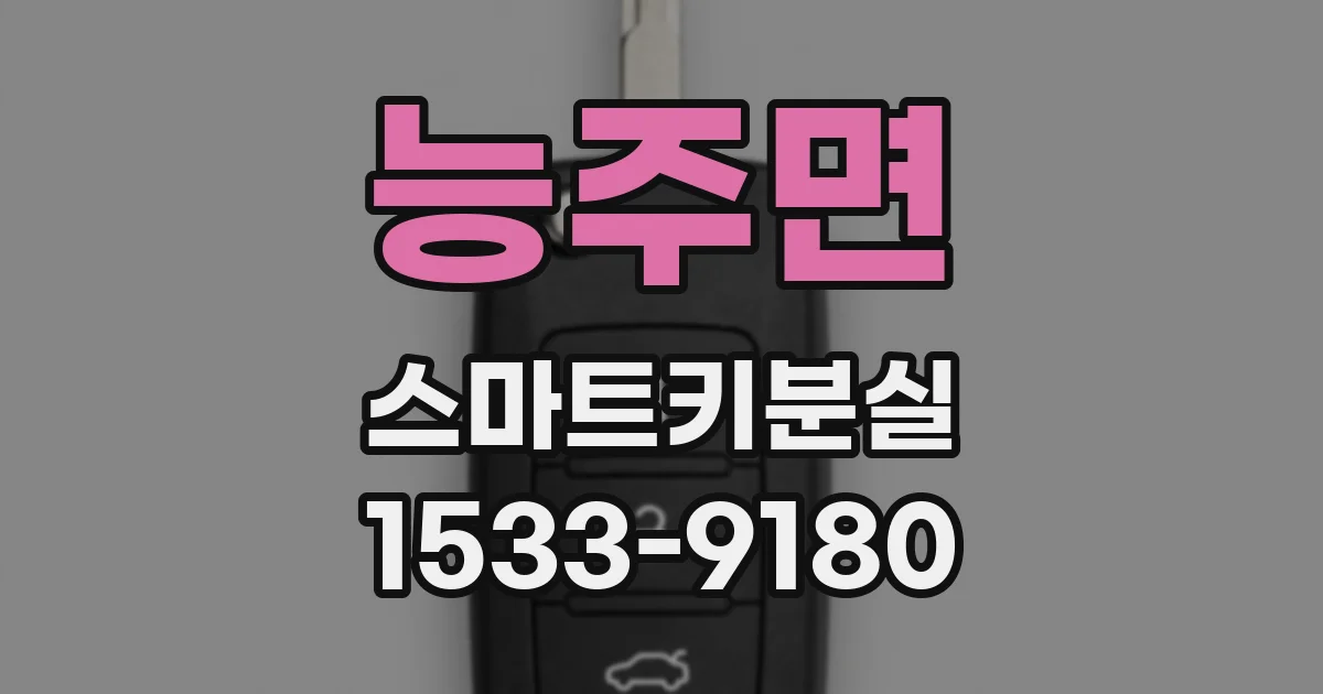 능주면 스마트키분실