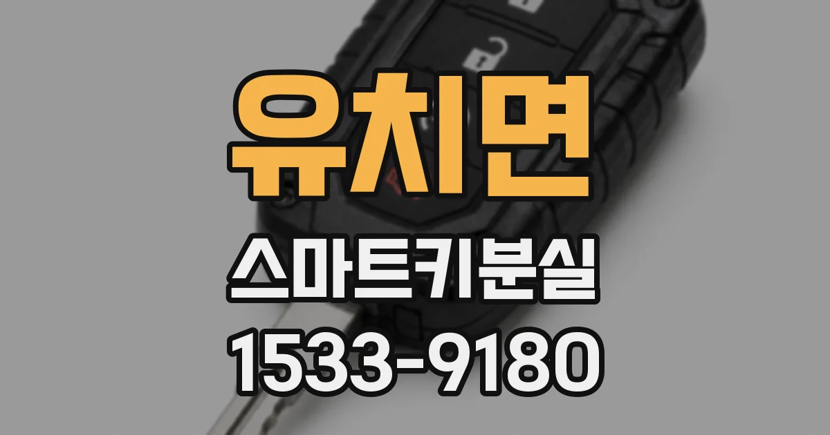유치면 스마트키분실