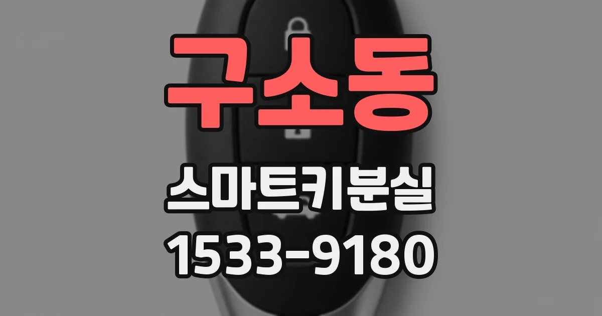구소동 스마트키분실