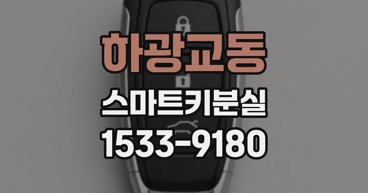 하광교동 스마트키분실