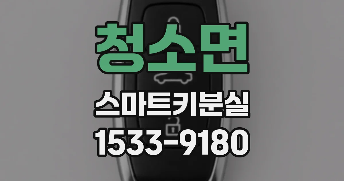 청소면 스마트키분실