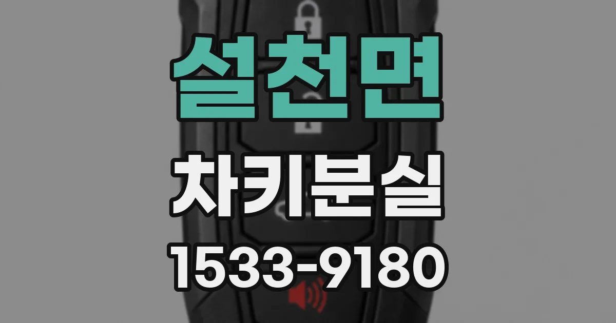 설천면 차키분실