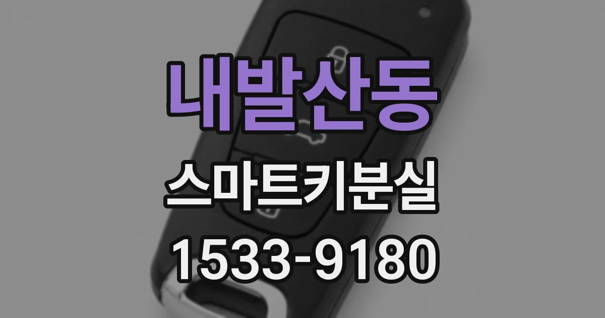 내발산동 스마트키분실