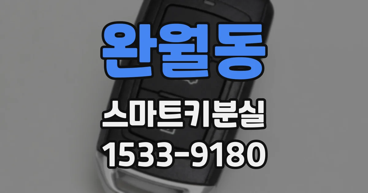 완월동 스마트키분실