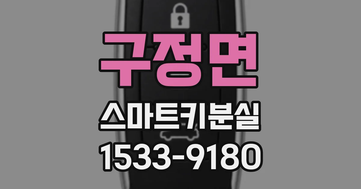 구정면 스마트키분실
