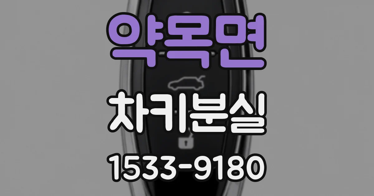 약목면 차키분실