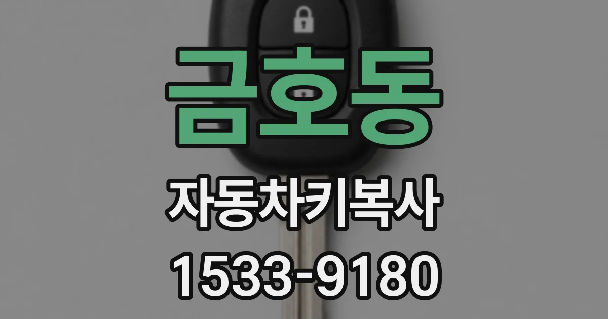 금호동 자동차키복사