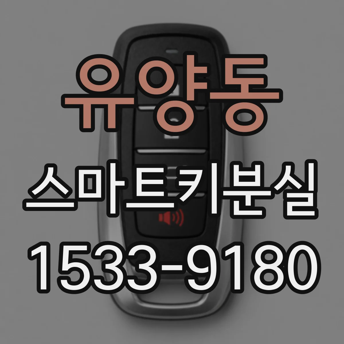 유양동 스마트키분실
