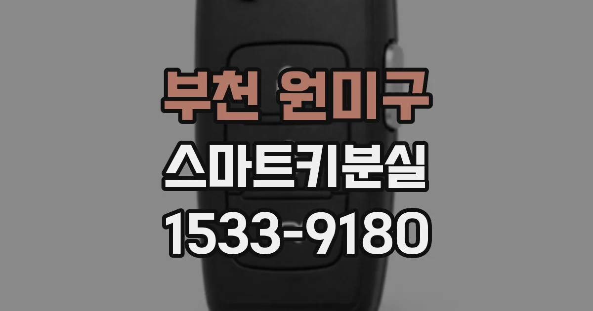 부천 원미구 스마트키분실