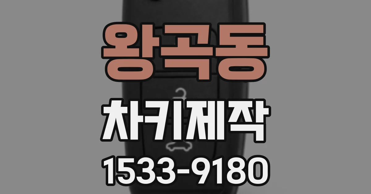 왕곡동 차키제작