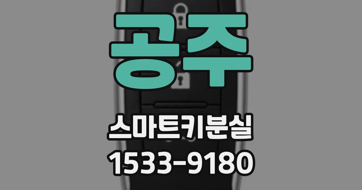 공주 스마트키분실