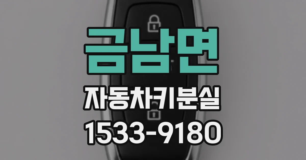 금남면 자동차키분실