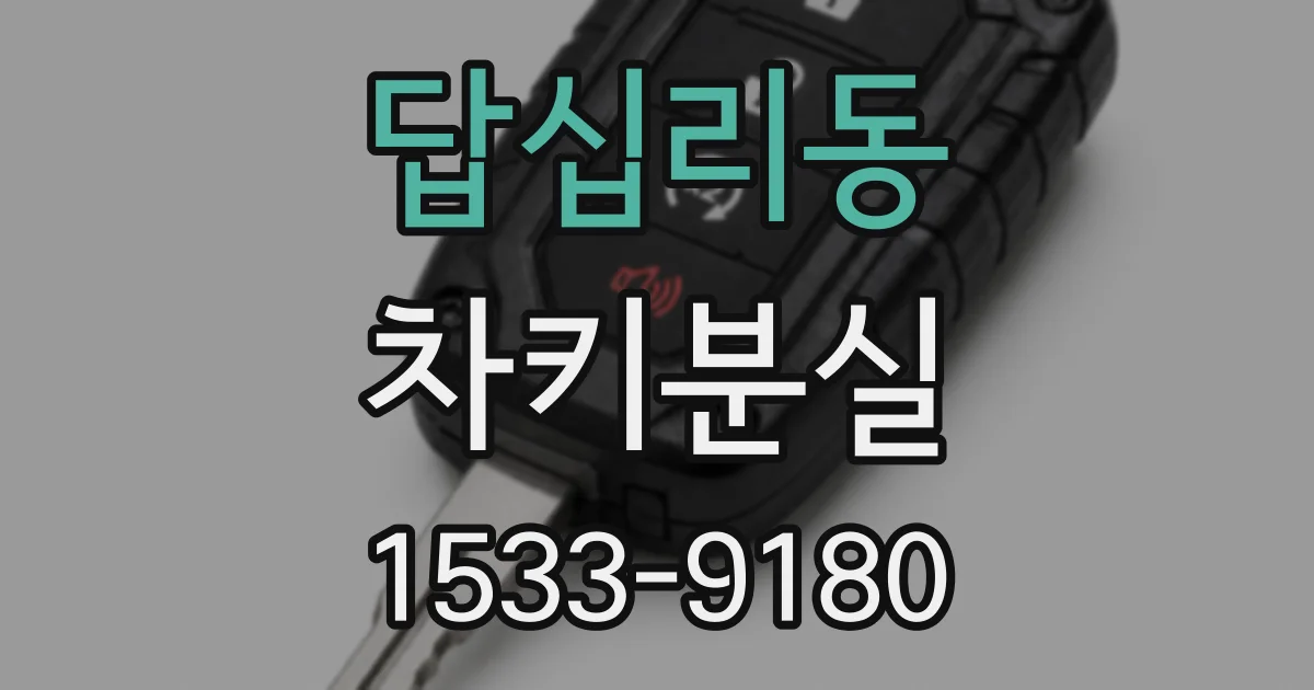 답십리동 차키분실