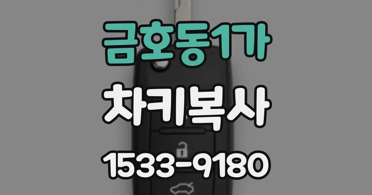 금호동1가 차키복사