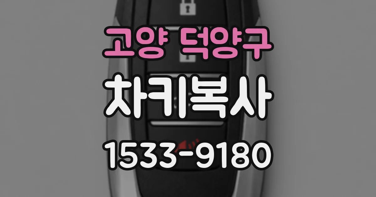 고양 덕양구 차키복사