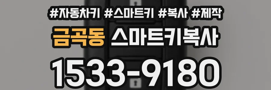 금곡동 스마트키복사