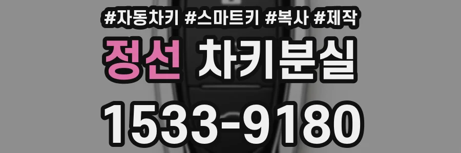 정선 차키분실