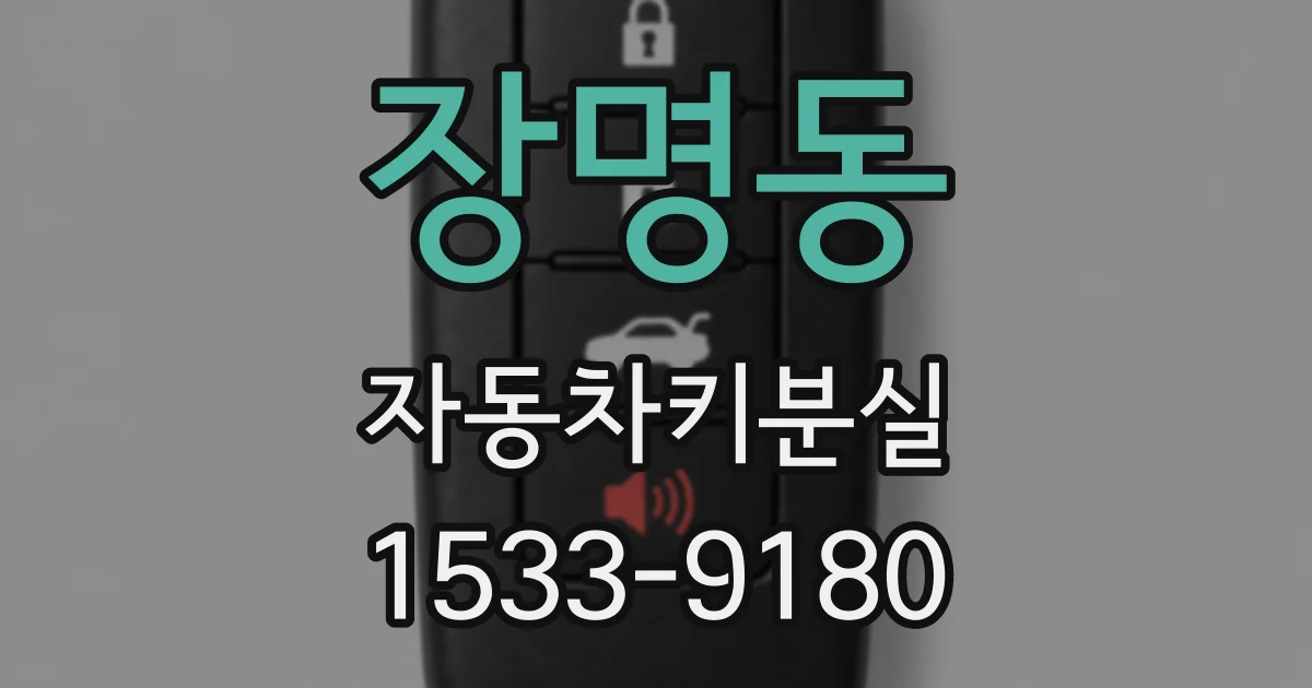 장명동 자동차키분실