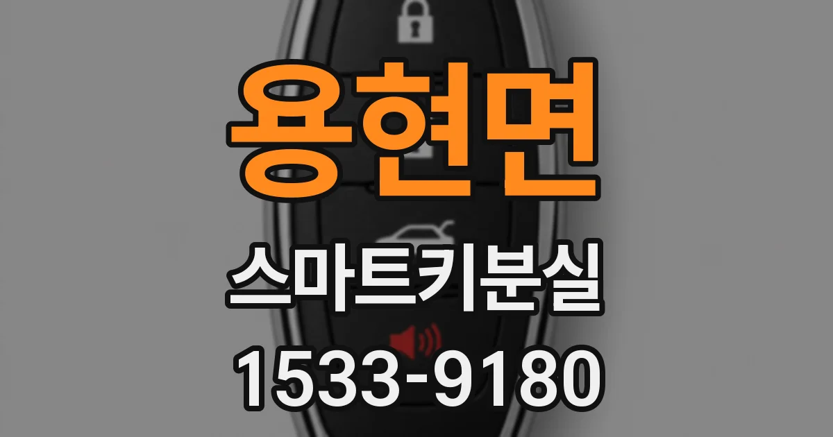 용현면 스마트키분실