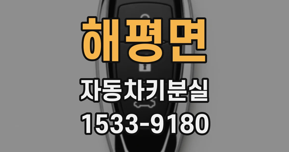 해평면 자동차키분실